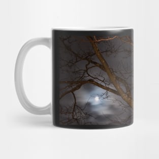 Full Moon Rising - 1 © Mug